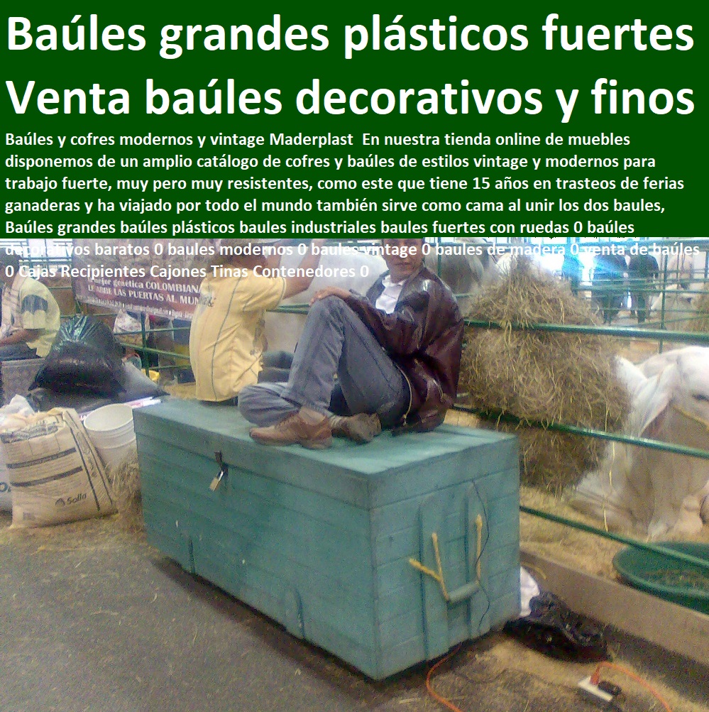 Baúles grandes baúles plásticos baules industriales baules fuertes con ruedas 0 baúles decorativos baratos 0  Recipientes, Cajilla, Diques, Estibas Antiderrames, Depósitos, Contenedores, Cajones, Tanques, Cajas, Shelters, Refugios, Empaques, Nichos, baules modernos 0 baules vintage 0 baules de madera 0 venta de baúles 0 Cajas Recipientes Cajones Tinas Contenedores 0 Baúles grandes baúles plásticos baules industriales baules fuertes con ruedas 0 baúles decorativos baratos 0 baules modernos 0 baules vintage 0 baules de madera 0 venta de baúles 0 Cajas Recipientes Cajones Tinas Contenedores 0